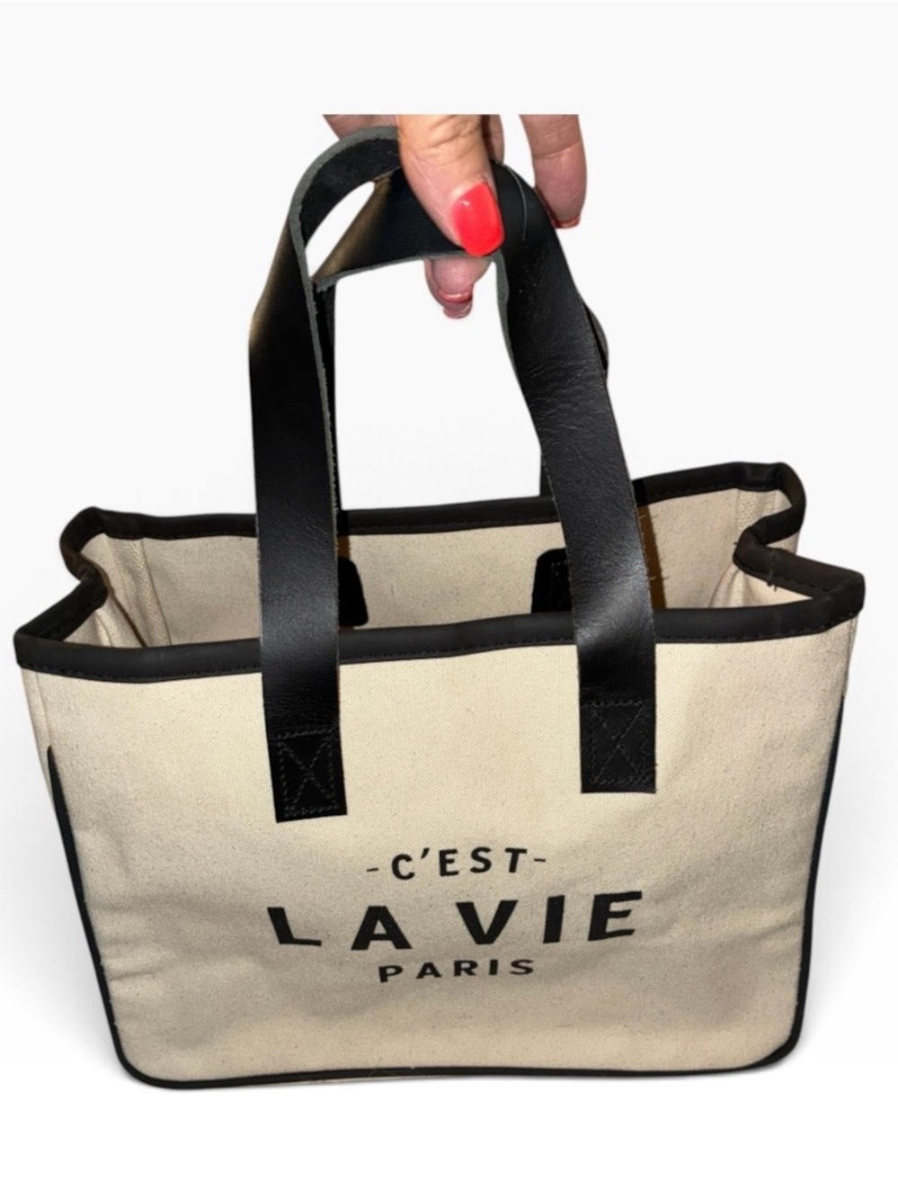 Santa Barbara Design Studio by Creative Brands - Mini Canvas Tote - Paris